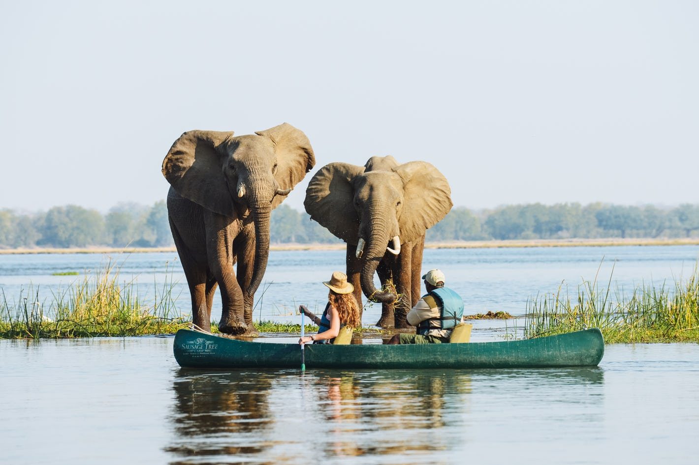 The Zambezi at dawn