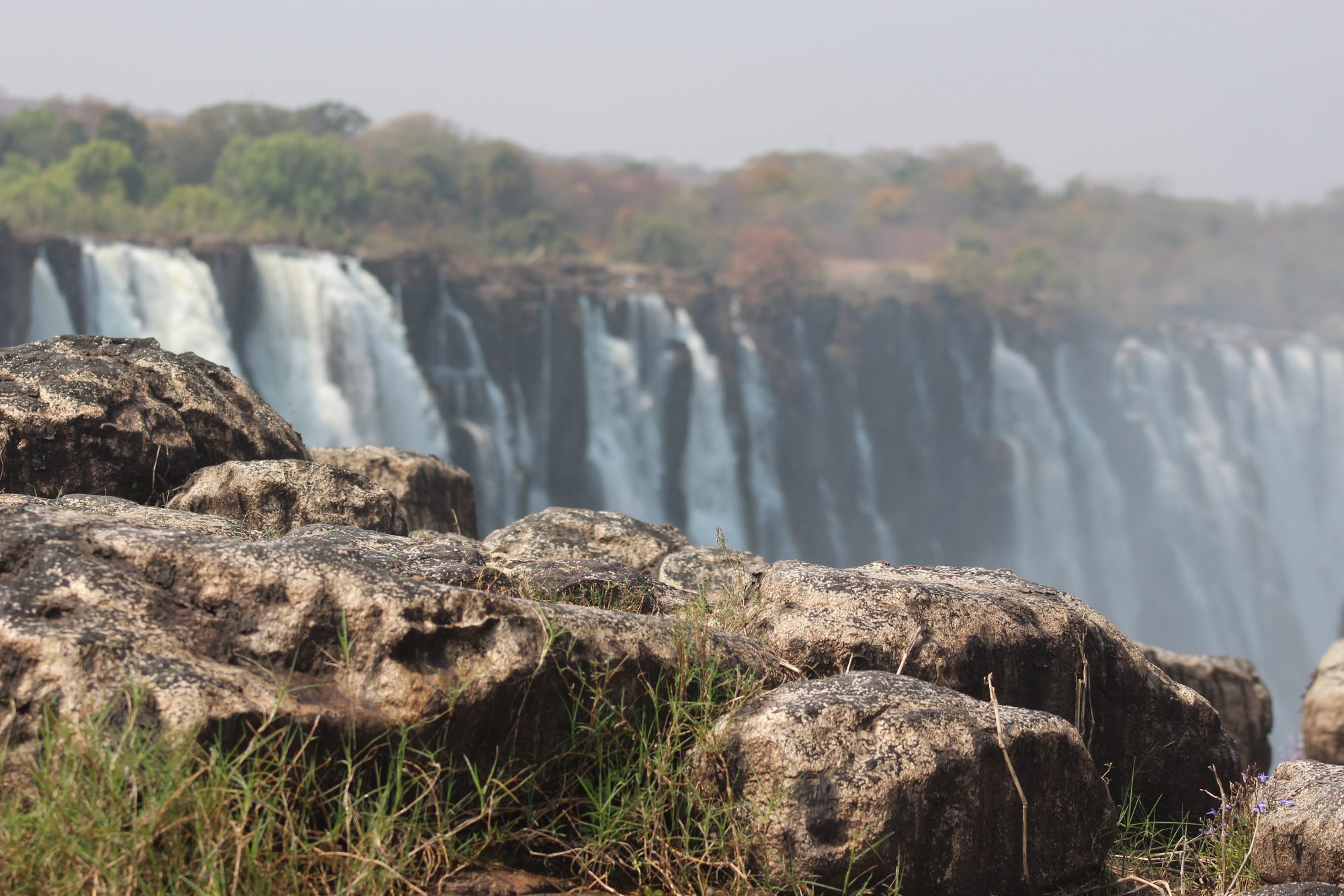 Chobe