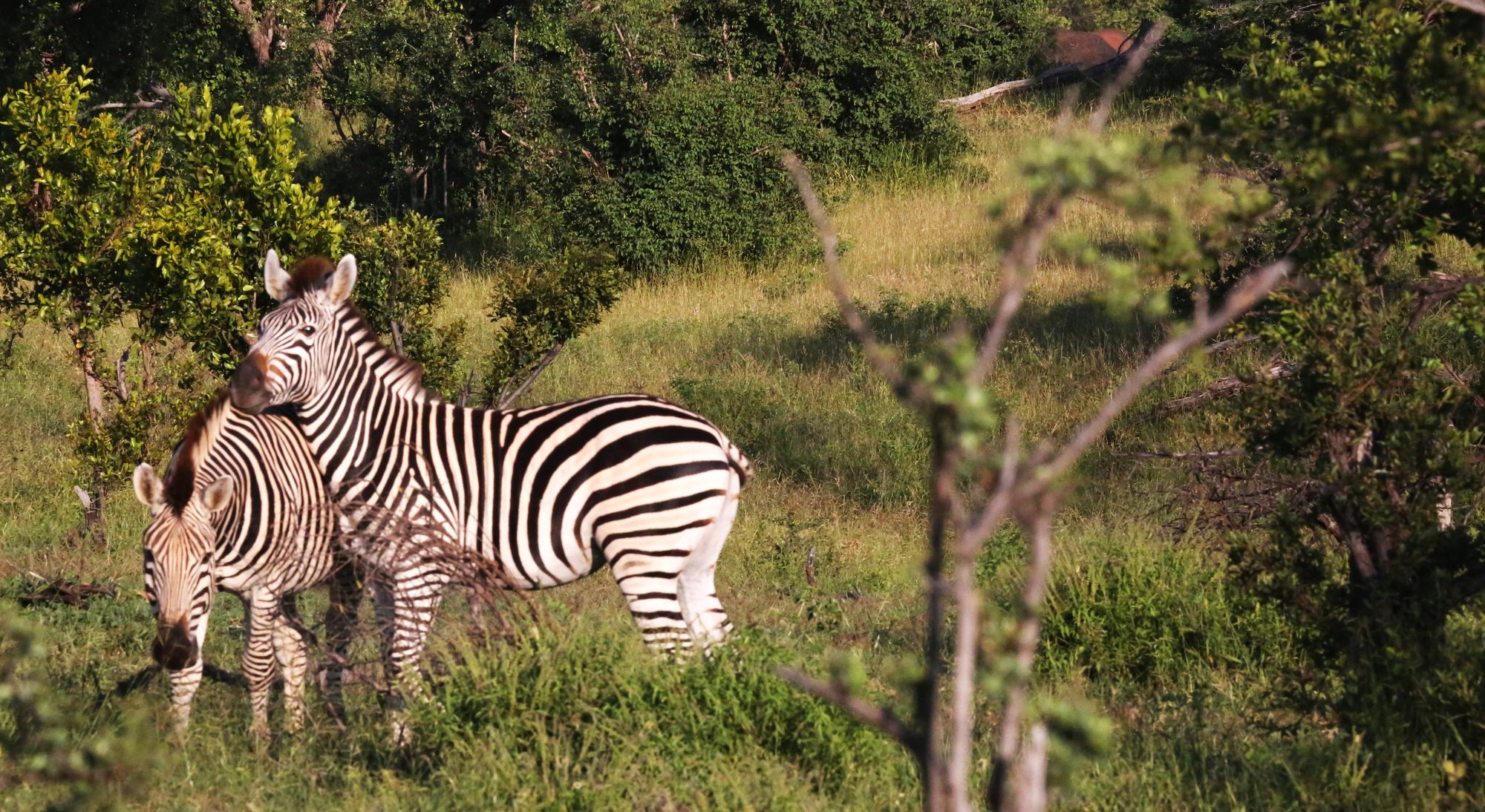 Victoria Falls